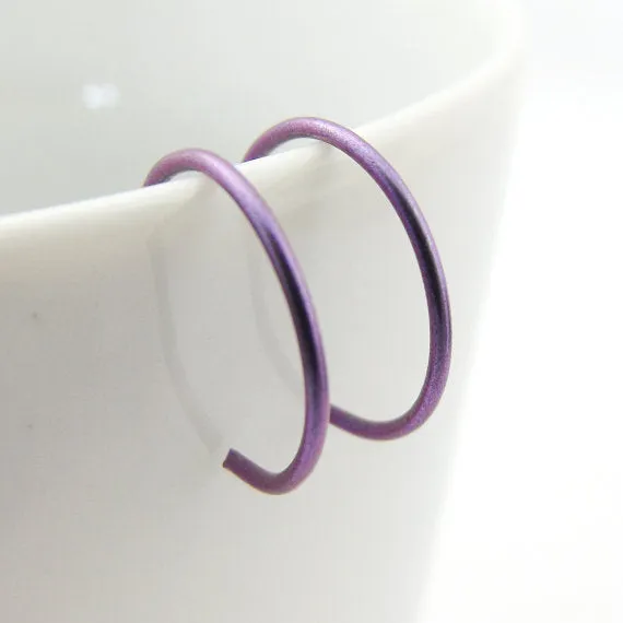 Purple Niobium Hoop Earrings